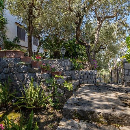 Ulivi Apt Villa Sorrento Kültér fotó