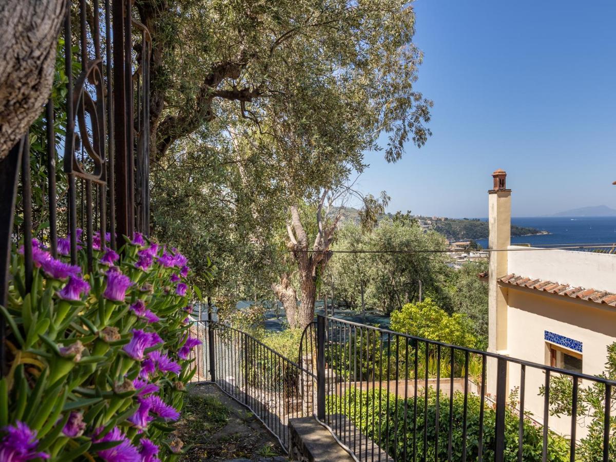 Ulivi Apt Villa Sorrento Kültér fotó