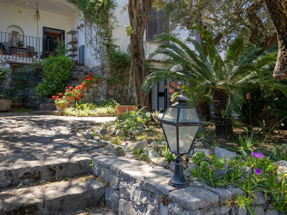 Ulivi Apt Villa Sorrento Kültér fotó