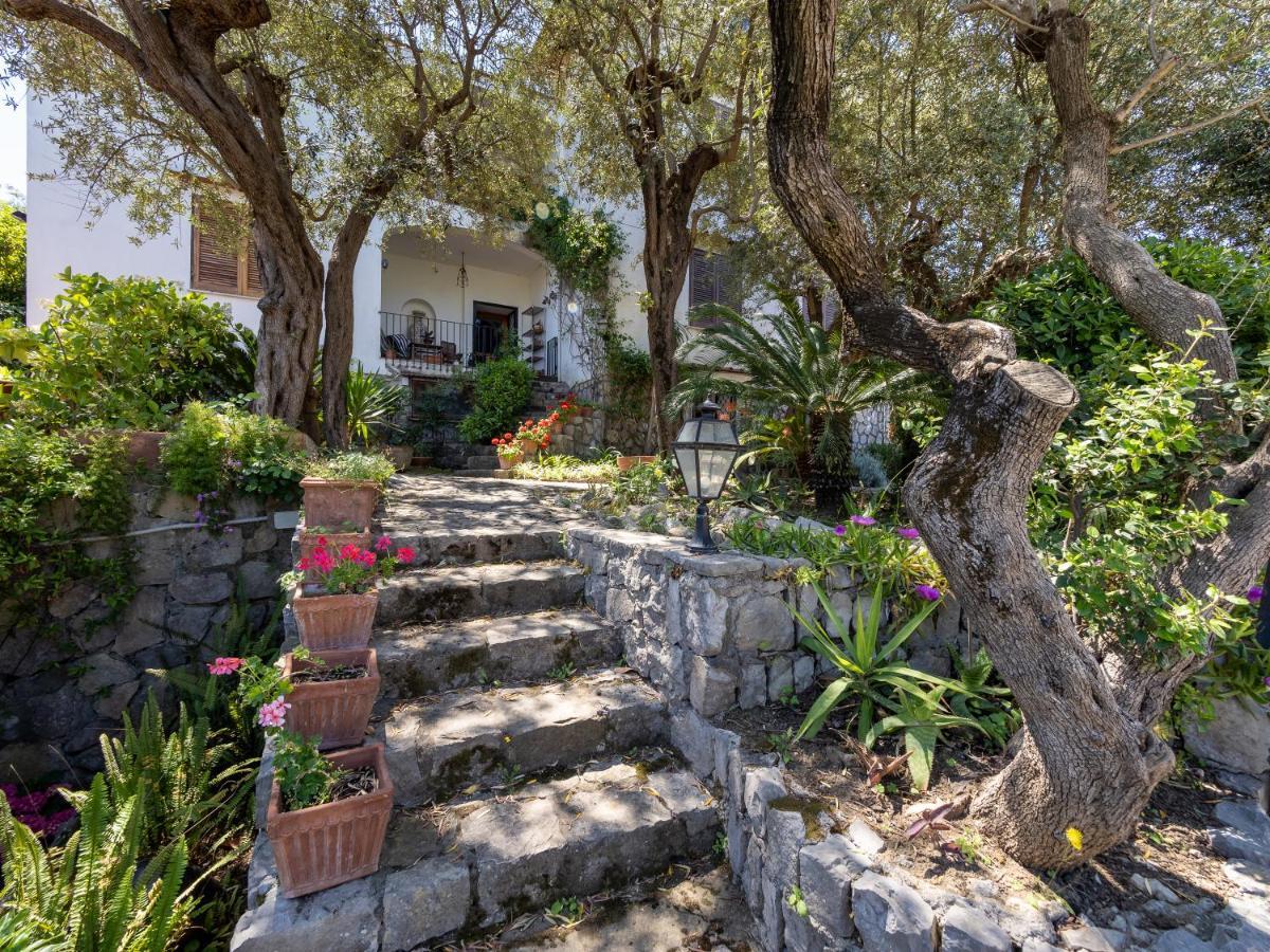 Ulivi Apt Villa Sorrento Kültér fotó
