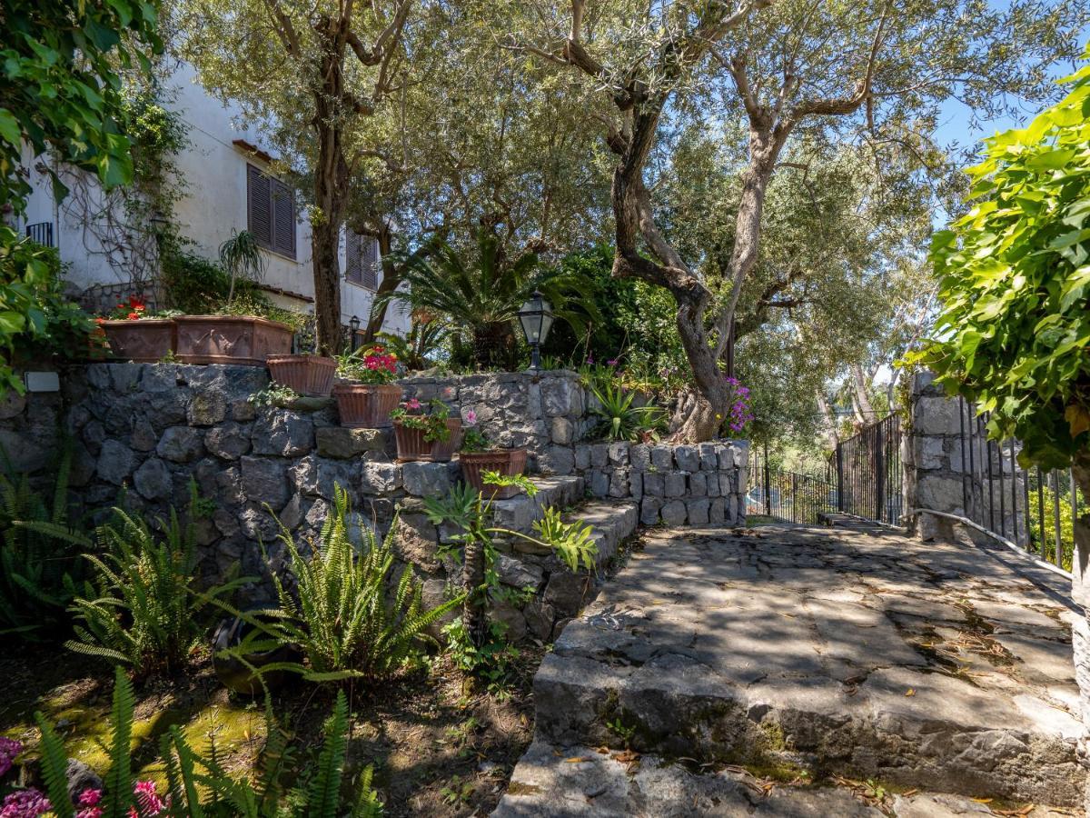 Ulivi Apt Villa Sorrento Kültér fotó